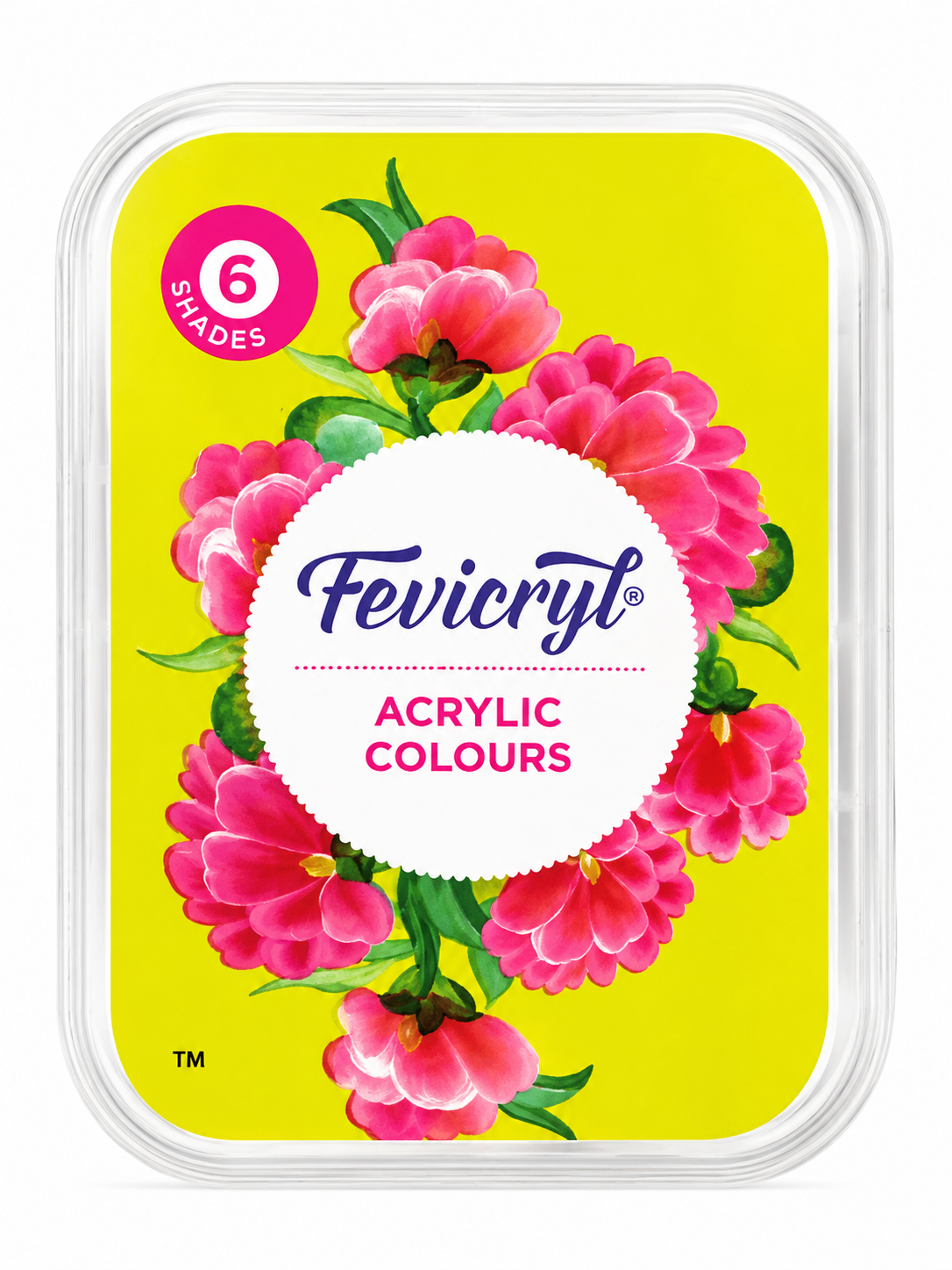 Fevicryl Acrylic Colours – Set of 6 Shades